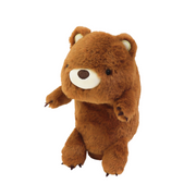 Posture Pal Q2