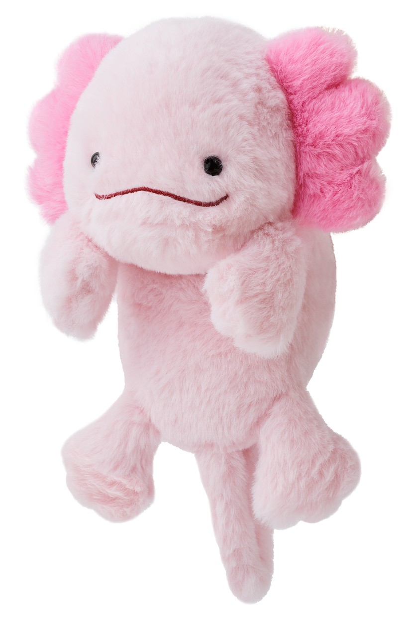 Posture Pal Q2