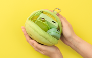 SMISKI Cushion Pouch A0