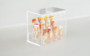Acrylic Display Case T3