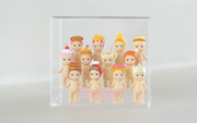 Acrylic Display Case T3