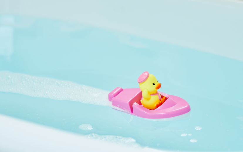 Duck Sailor Boat B6