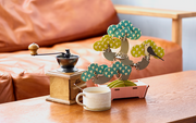 Play Plants Bonsai Puzzles Z3