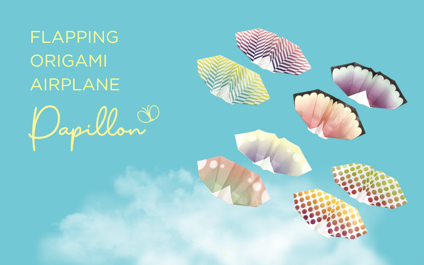Papillon Origami Airplanes K1