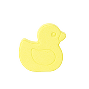 Duck (Citrus)