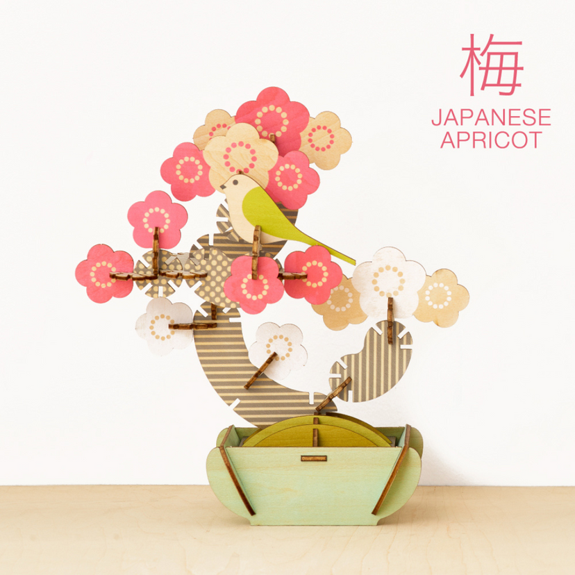 Play Plants Bonsai Puzzles Z3