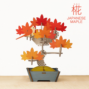 Play Plants Bonsai Puzzles Z3