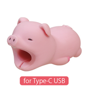 CABLE BITE for Type-C USB Q5