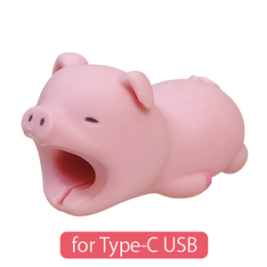 CABLE BITE for Type-C USB Q5