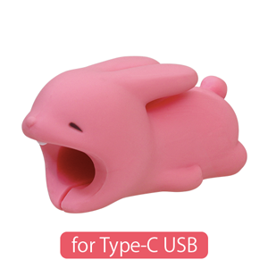 CABLE BITE for Type-C USB Q5